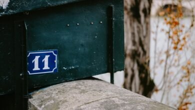 contact number insights provided
