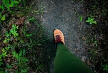 financial journey management tools