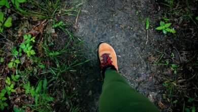 financial journey management tools