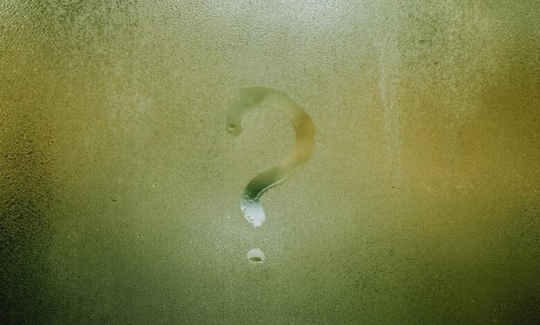 mysterious number significance explored