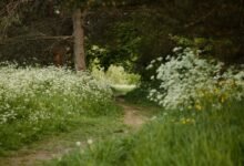 unconventional journey exploration guide