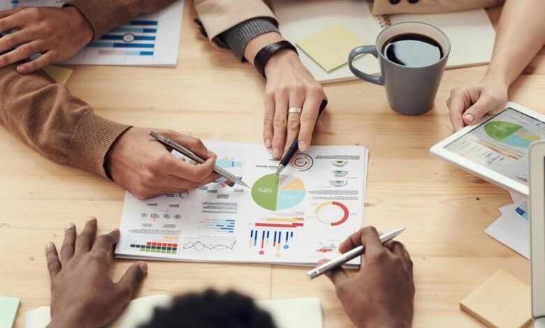 development framework report details