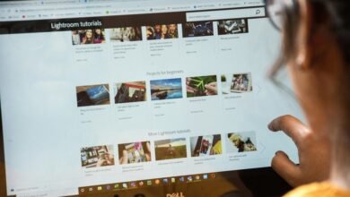 moxhit software detailed guide