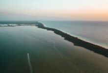 zixyurevay safety concerns highlighted