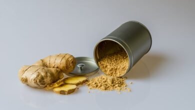 soldegicargots main ingredient guide