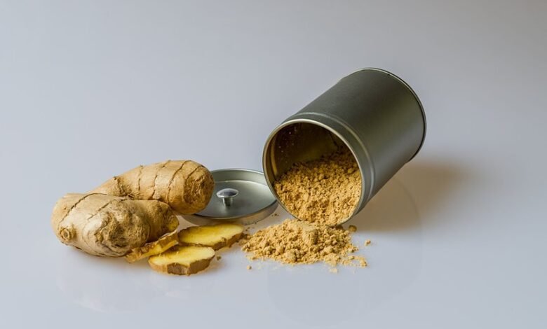 soldegicargots main ingredient guide